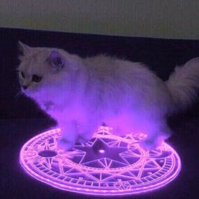 A white cat with somewhat long hair standing over a glowing purple sigil